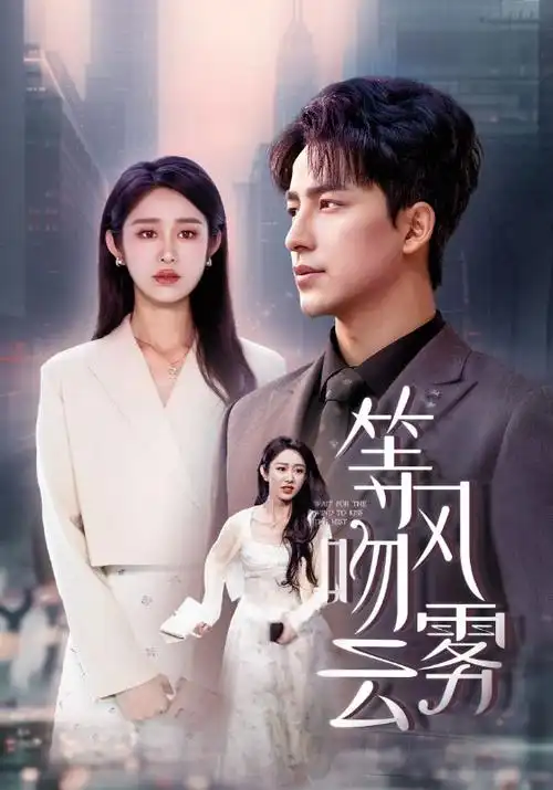 雾港迷航 热播电视剧全集在线观看